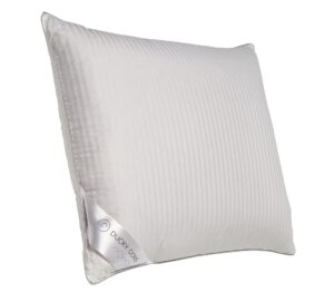 ducky dons punt hoofdkussen 60x70_60% dons