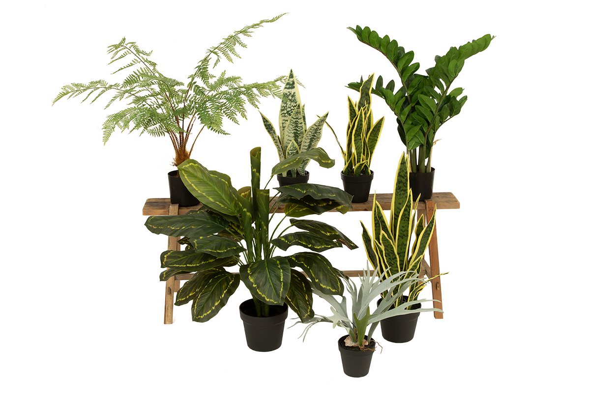 Roomdivider pakket B-3